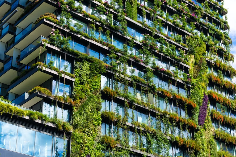 Sustentabilidad - Principios para lograrlo 